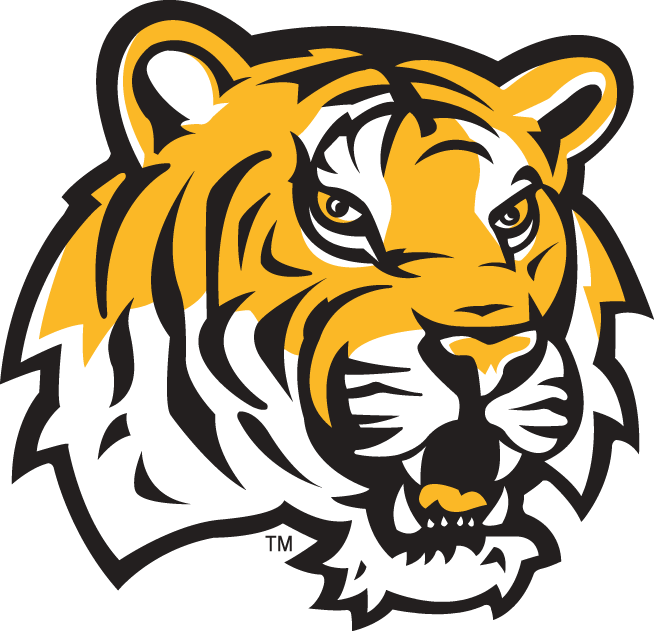 LSU Tigers 2002-Pres Alternate Logo t shirts iron on transfers v4...